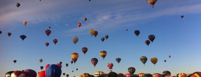 Balloon Fiesta Landings