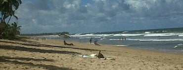 Villas Praia do Surf is one of freesurf.