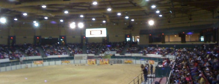 Prince George's Equestrian Center is one of Equestrian Life.