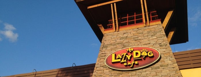 Lazy Dog Restaurant & Bar is one of Tempat yang Disukai Todd.
