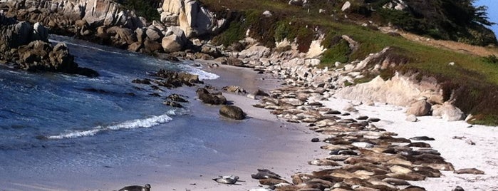 Monterey Bay Coastal Trail is one of Dog-Friendly Monterey Peninsula.