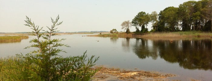 Prime Hook National Wildlife Refuge is one of Lorcánさんの保存済みスポット.