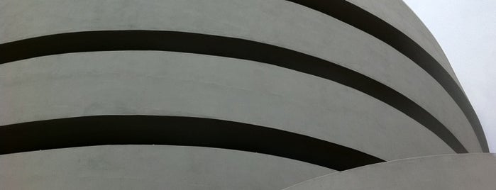 Solomon R Guggenheim Museum is one of 21 Museums and Art Galleries.