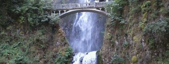 Multnomah Falls is one of Top picks for the Great Outdoors.