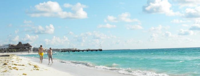 Playa Xaman-Ha is one of 25 TOP Beaches in Riviera Maya.