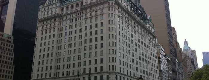 The Plaza Hotel is one of New York.
