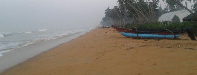 Wadduwa Beach is one of Trips / Sri Lanka.