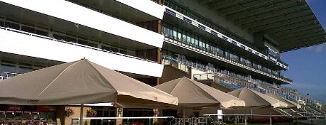 Doncaster Racecourse is one of Concrete Society Award winners.