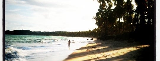 Praia do Paiva is one of Praias Pernambuco (Beach).