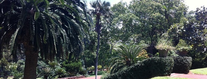 Durban Botanic Gardens is one of khanyoz.