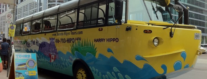 Hippo Tours is one of CAN Toronto To Do.