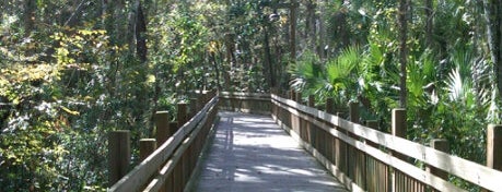 Celebration Boardwalk is one of Top 10 Things to do in Celebration Florida.
