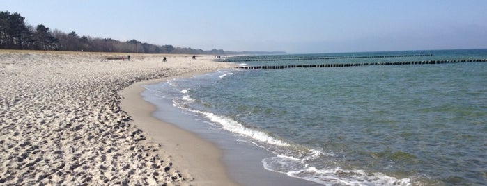 Strand Zingst is one of Websenatさんのお気に入りスポット.