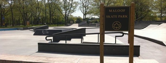 Flushing Meadows Corona Skate Park is one of NYC skateparks I want to visit..