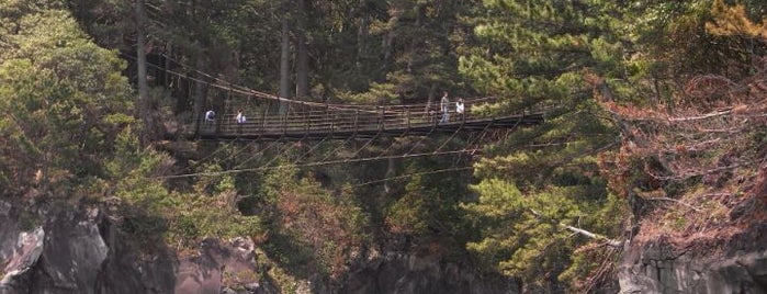 橋立吊橋 is one of 静岡県の吊橋.