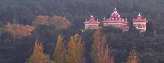 Palácio de Monserrate is one of Espaços verdes.