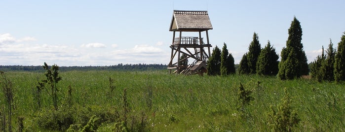 Putnu vērošanas tornis is one of Nature in Latvia.