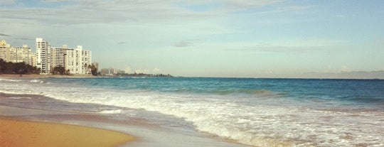 Ocean Park Beach is one of Lugares favoritos de Luis.