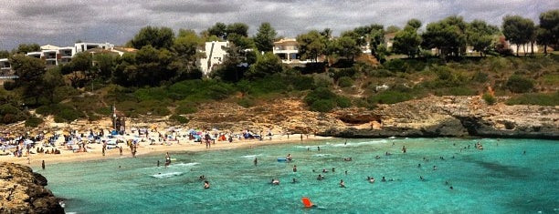 Cala Mendia is one of สถานที่ที่ Timmy ถูกใจ.