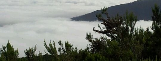 Mirador de Mataznos is one of Canarias en fotos.