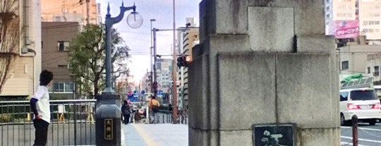 Kotobashi Bridge is one of ぎゅ↪︎ん 🐾🦁 : понравившиеся места.