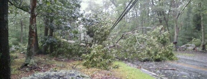 Hurricane Irene is one of cafe.