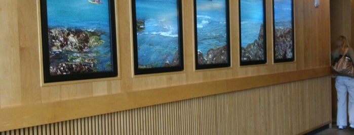 Monterey Bay Aquarium is one of PCH.