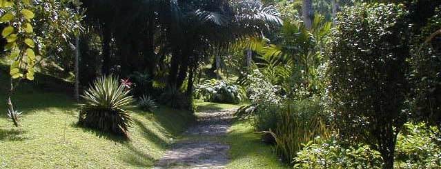 Castleton Botanical Gardens is one of Guide to the Best of Island, Jamaica.