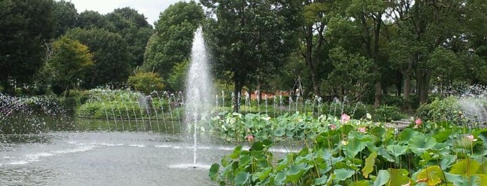 郷土の森公園 is one of Top picks for Parks.