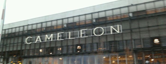 Cameleon is one of Belgium Todo List.