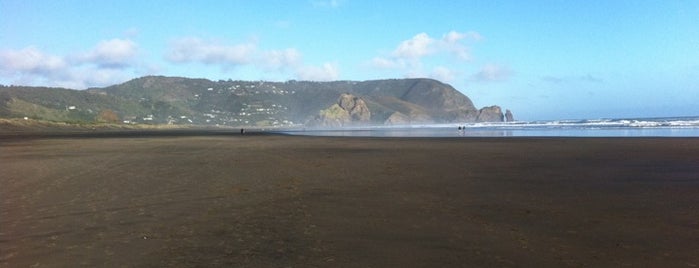 North Piha is one of New Zealand's Secret Treasures.