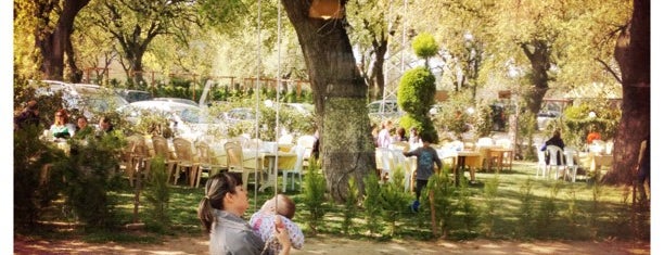 Palamutluk Bahçe Cafe & Restaurant is one of rakı mezenin en iyileri.