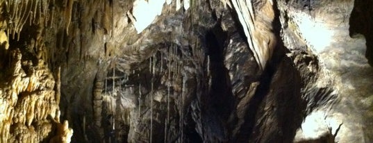 Le Domaine des Grottes de Han / Het Domein van de Grotten van Han is one of Uitstap idee.