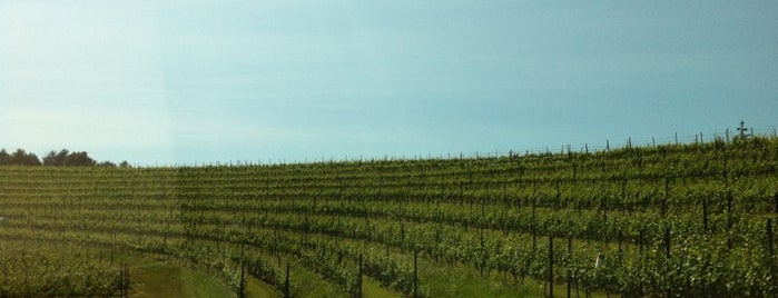 Black Star Farms Suttons Bay is one of Spots for Regional American Wine.
