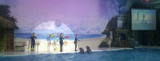 Dubai Dolphinarium is one of Best places in Dubai, United Arab Emirates.