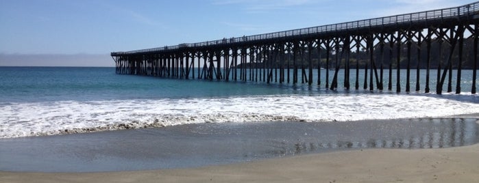 WR Hearst State Beach is one of Stevenさんのお気に入りスポット.