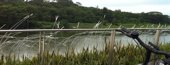 Sungei Serangoon Park Connector is one of Trek Across Singapore.