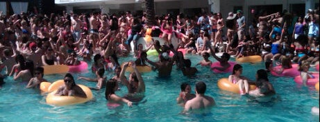 PINK Nation Pool Party is one of Top 10 dinner spots in Mexico.