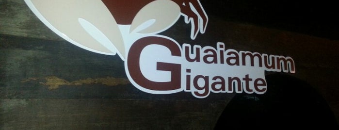 Guaiamum Gigante is one of mayorships.
