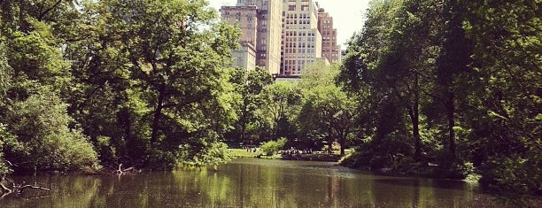 The Pond is one of NYC to do.