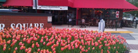 Rosebud Italian Specialities & Pizzeria is one of Best Outdoor Seating Restaurants in Naperville.