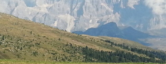 Le Cune - Alpe di Lusia is one of Attività famiglie.
