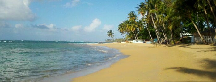 Playa Las Terrenas is one of Lugares que he visitado.