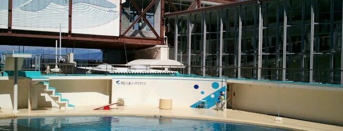 Izu Mito Sea Paradise is one of ラブライブ！サンシャイン!!聖地巡礼.