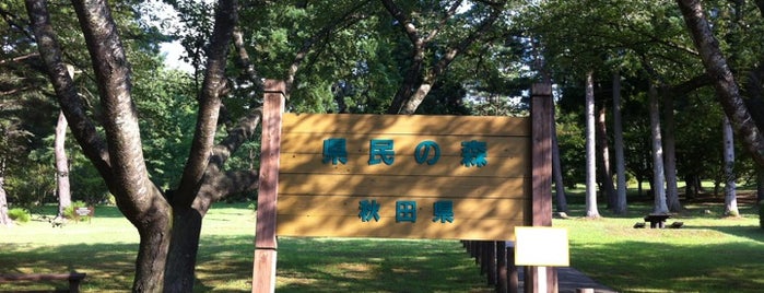県民の森(秋田) is one of 東日本の旅 in summer, 2012.