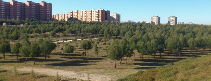 Parque Forestal Fuente Carrantona is one of สถานที่ที่ Carmen ถูกใจ.