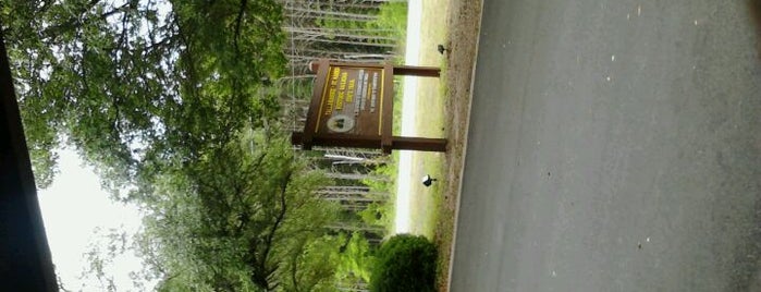 Tallahassee-St. Marks State Trail is one of สถานที่ที่ Theo ถูกใจ.