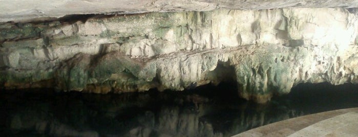 Cenote X'batun is one of Cenotes.