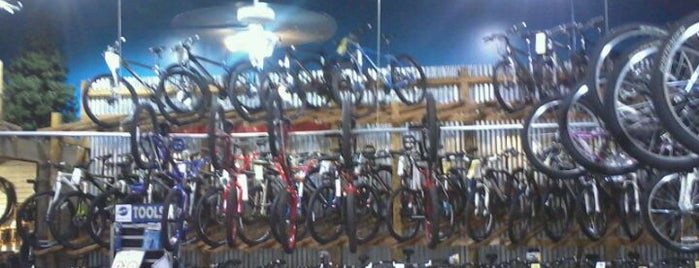 Bicycles Etc is one of Hoiberg's Favorite Places in JAX.