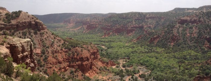 Caprock Canyons State Park is one of Texas State Parks & State Natural Areas.
